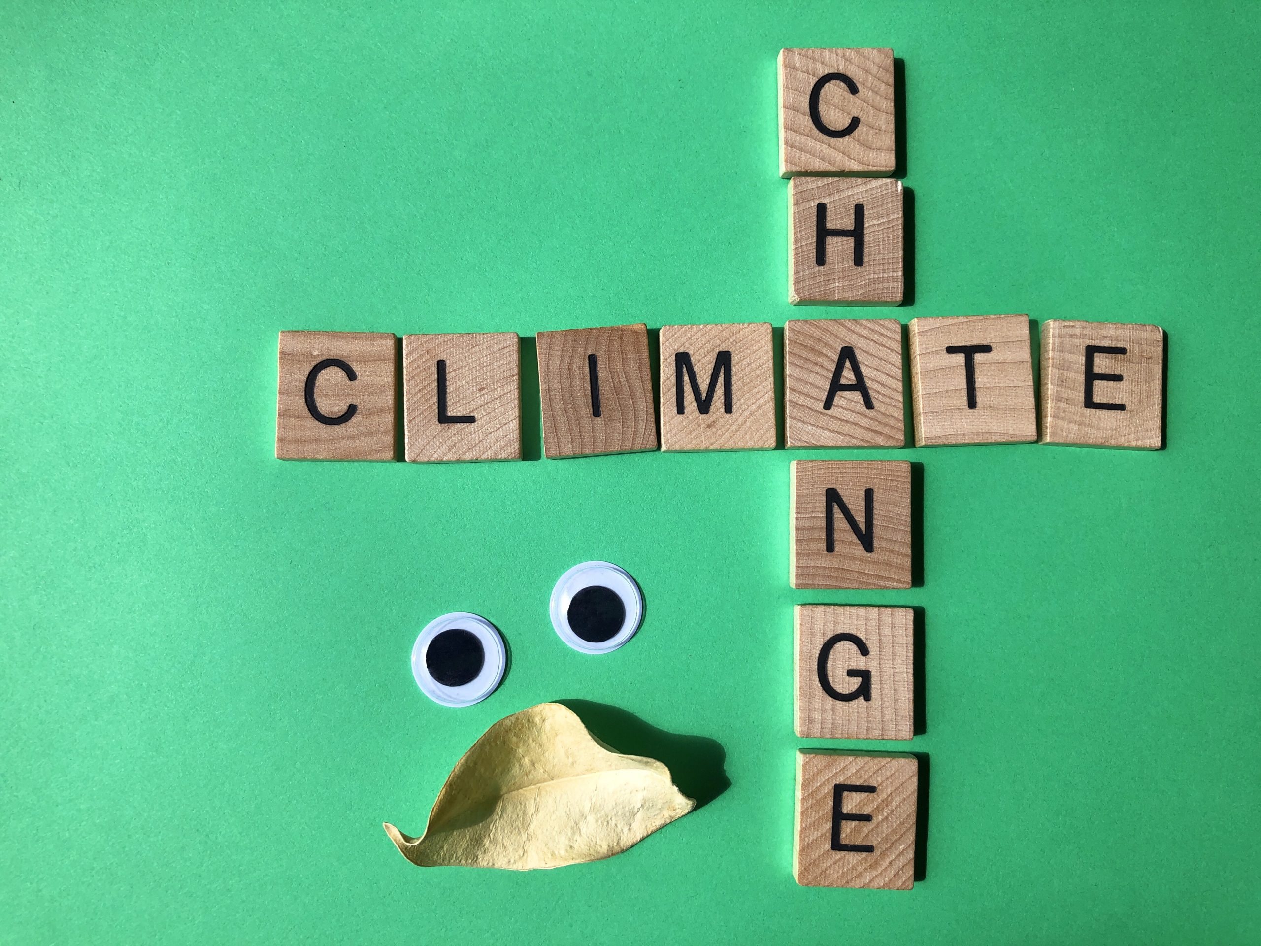 climate_change_crossword_with_googly_eyes_and_dry_2022_11_15_15